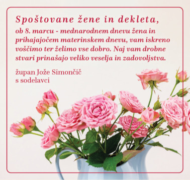 Simbolična fotografija: Vrtnica